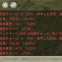 01_01_11_damege-min.png